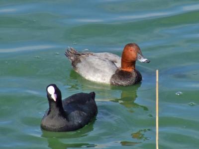 Прикрепленное изображение: bDSCF5956a.jpg